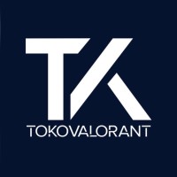 TOKOVALORANT logo - Similar company to Boosting Ground