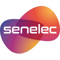 SENELECOFFICIELLE logo - Similar company to Ministère De L'Energie, Du Pétrole Et Des Mines - Mepm