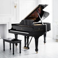 Musician logo - Similar company to Sydnie L. Mosley Dances