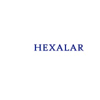 Hexalar Inc logo - Similar company to Venolearn