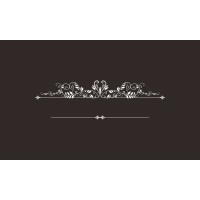 Beijing Selead trading company logo - Similar company to Into