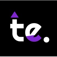 Teeming Infotech logo - Similar company to Teeming