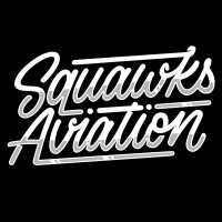 Squawks Aviation logo - Similar company to Falcon Managing General Agency (Mga)