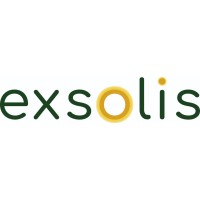 Exsolis Ltd logo - Similar company to Aniron Renewables