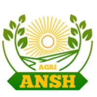 ANSH EXIM logo - Similar company to Nikvik Creations