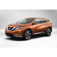 Mtn View Nissan Inc