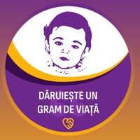 Asociația Maria Beatrice logo - Similar company to Rsbauro