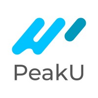 PeakU AI logo - Similar company to Netstat