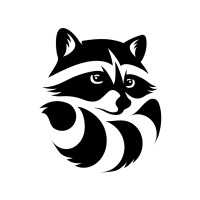 RACOON STUDIO logo - Similar company to Rocketpanda
