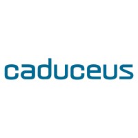 Caduceus Systems Ltd logo - Similar company to Gm Designs Ltd