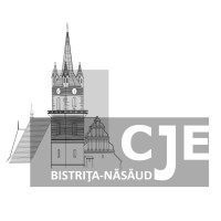 Consiliul Județean al Elevilor Bistrița-Năsăud logo - Similar company to Pulsez