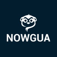 Nowgua Security Hub logo - Similar company to Asm Protection