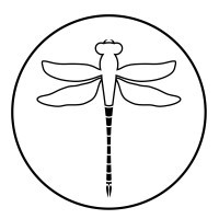 Drone-Activities logo - Similar company to Industrial Drone Services.Eu