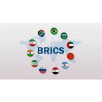 BRICS STUDY DESTINATIONS logo - Similar company to Nfix