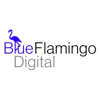 Blue Flamingo Digital logo - Similar company to Classiclink Technology
