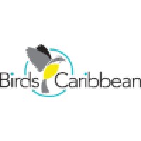 BirdsCaribbean logo - Similar company to Hergenuityafrika!