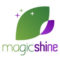 MagicShine.cl logo - Similar company to Gmt Sourcing