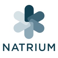 Natrium Imobiliária logo - Similar company to Worldone – Gestão De Participações Sociais