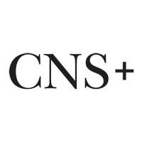 CNS + Sapatos Masculinos logo - Similar company to Cns Online