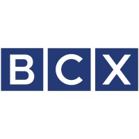 Insurance BCX logo - Similar company to Rightmile Insurance