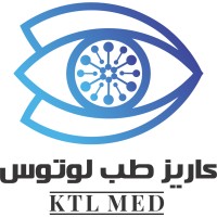 Kariz Teb Lotus logo - Similar company to Kariz Teb Aseman