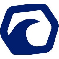 Chilesurf logo - Similar company to Rescuesurf