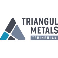 TRIANGUL METALS TEBINBULAK logo - Similar company to Omega Projects
