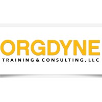 ORGDYNE Training & Consulting, LLC logo - Similar company to Immersego