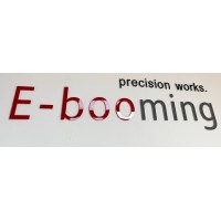 Shenzhen E-booming Industrial Co., Ltd logo - Similar company to Feasa Enterprises Ltd