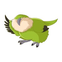 KAKAPO CONSULTING LTD logo - Similar company to Insight Creative