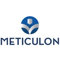 Meticulon Consulting, Inc.