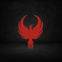 Fenix Consultoria Financeira e Contábil logo - Similar company to Synexus Group