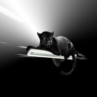 FRAMAZ NV logo - Similar company to Dragonflies Operating Partners