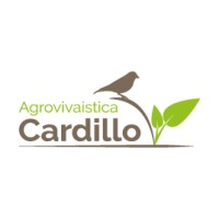 Agrovivaistica Cardillo logo - Similar company to Orto Dirillo