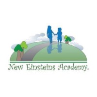 NEW EINSTEINS ACADEMY, INC. logo - Similar company to New Einsteins Academy