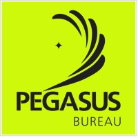 Pegasus Bureau logo - Similar company to Amplisign