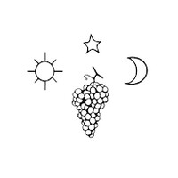 ComplanTerra logo - Similar company to Chantier Suspendu