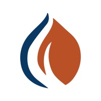 MSEG logo - Similar company to Himorex