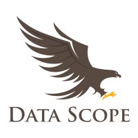 Data Scope - Sales Agency