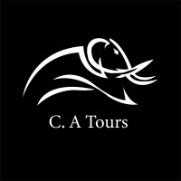 C.A Tours & Travels logo - Similar company to Nexus Innov