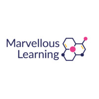 Marvellous Learning logo - Similar company to Wolf Learning Consulting