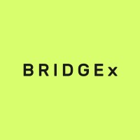 Bridge x logo - Similar company to Ncrspt
