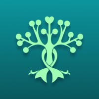 OmotenApp logo - Similar company to Bubble Box Lavanderia Compartilhada