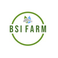 BSI Farm logo - Similar company to Binersim