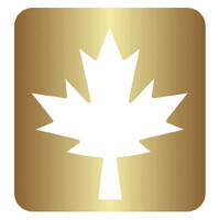 MontRoyal Elevate logo - Similar company to Nebularis Cloud