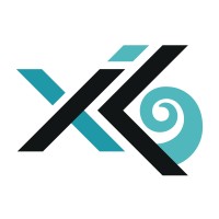 Xiuh Consulting logo - Similar company to Discom Software Solutions