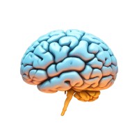 Positive Life Mindset - By Avrill Juriansz logo - Similar company to Carekernel
