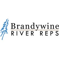 Brandywine River Representatives Llc