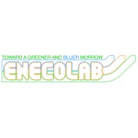 Enecolab Srl logo - Similar company to Nova Analysis