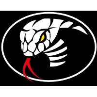 Cobra Boats logo - Similar company to Brig Usa
